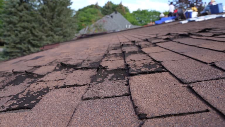 Best Slate Roofing  in Portland, IN